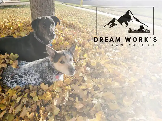Dream Work's Lawn Care LLC logo and brand image